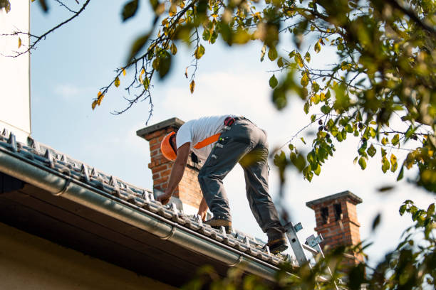 Best Roof Gutter Cleaning  in Liberty, UT